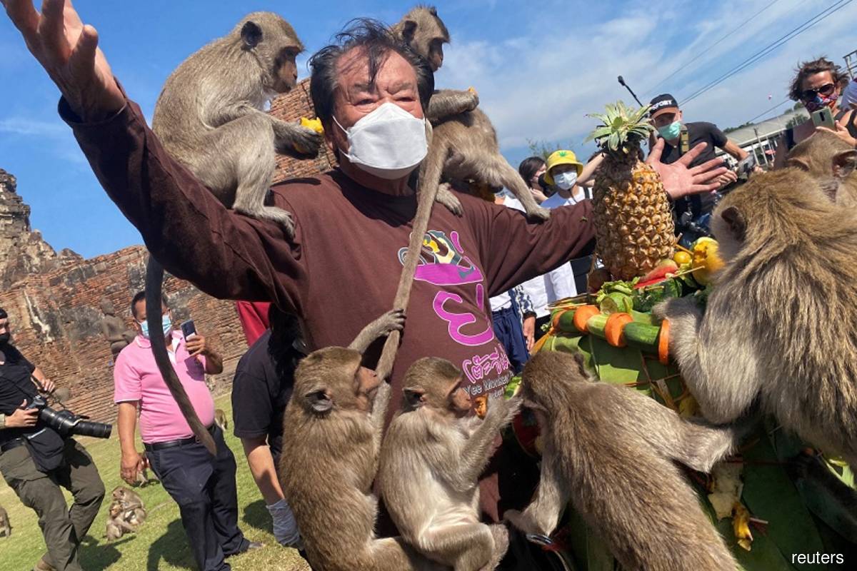 Fruit galore: Thai monkey festival returns as tourists come back