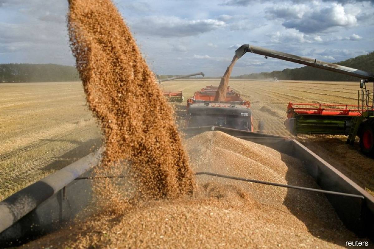 Global grains market will tighten further in 2022/23, says Fitch Solutions