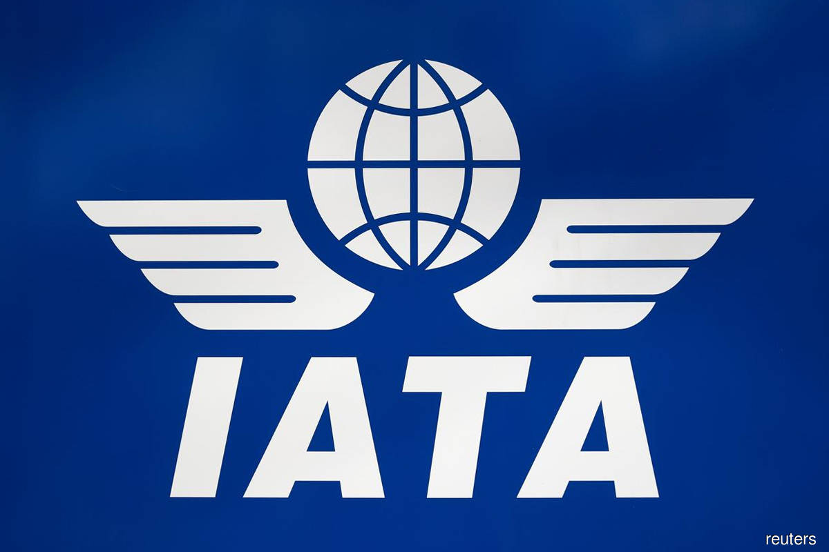 Total air traffic in November up 41% year-on-year, says IATA