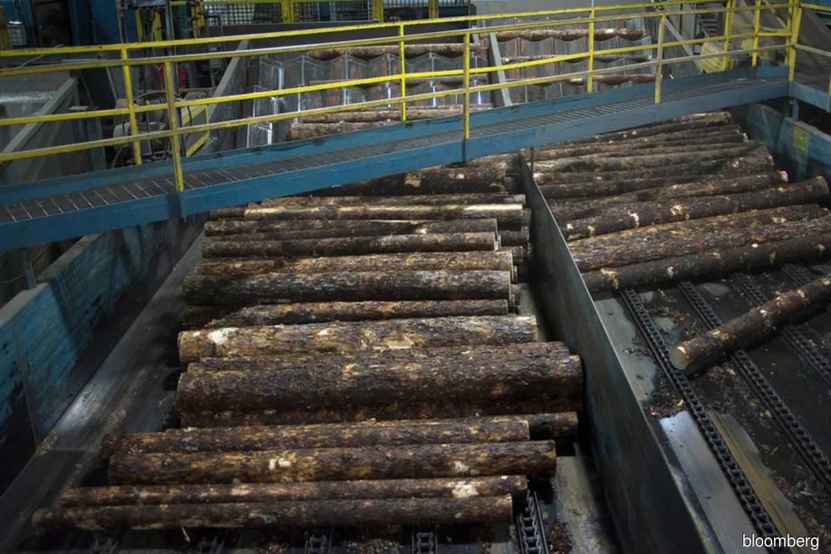 Resolute Forest spending US$50m to expand lumber output