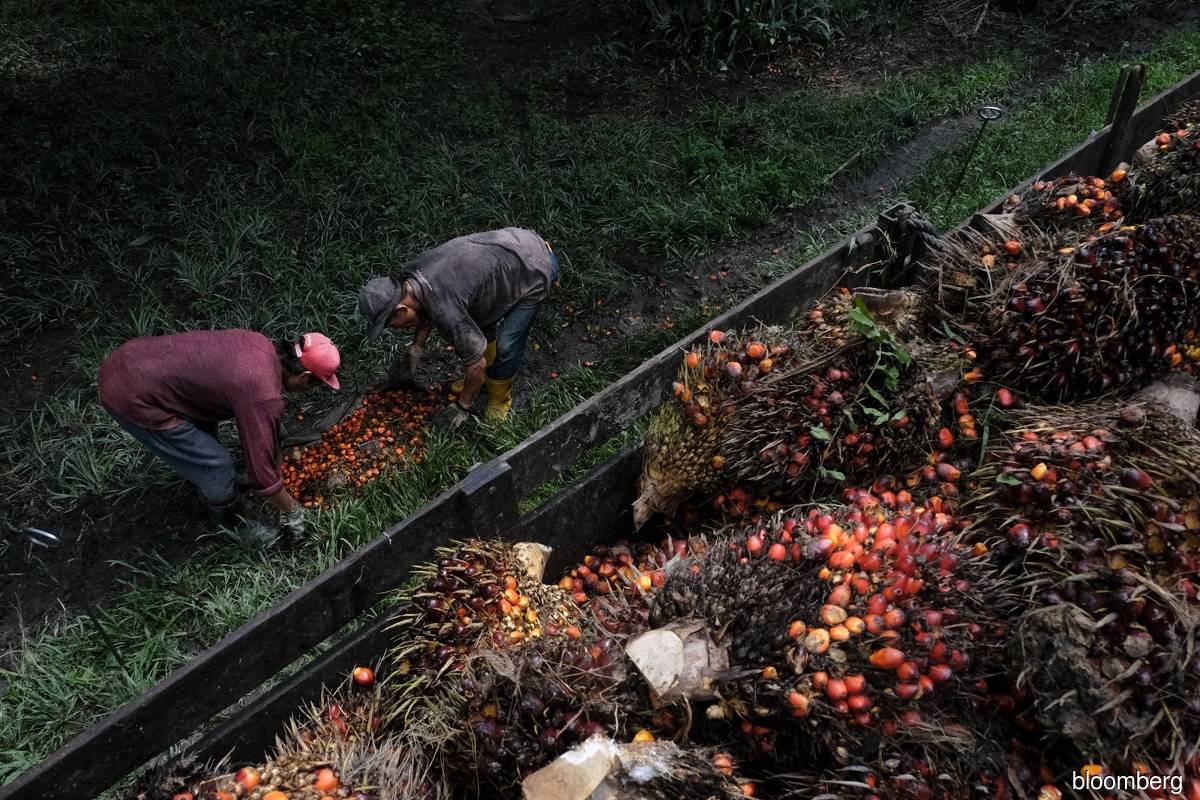 Malaysia end-March palm oil stocks fall to nine-month low