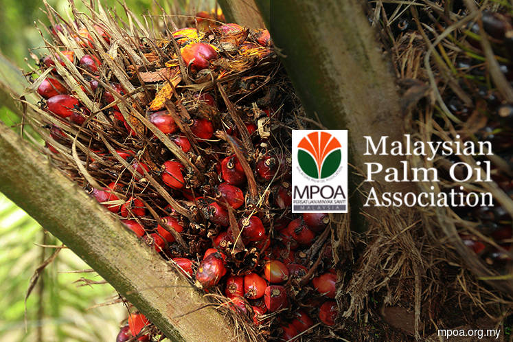 MPOA and MEOA: Palm oil ops in reopened districts to adhere to Sabah government rules