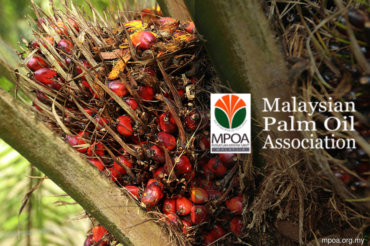 Malaysian Palm Oil Association sees near-term prices at RM4,000/T as supply tightens