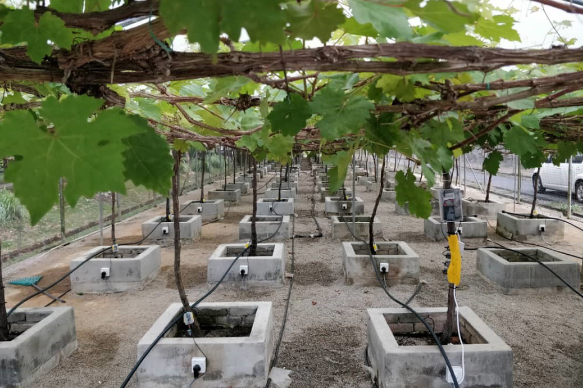 Agritech — pioneer industry to reap 5G benefits