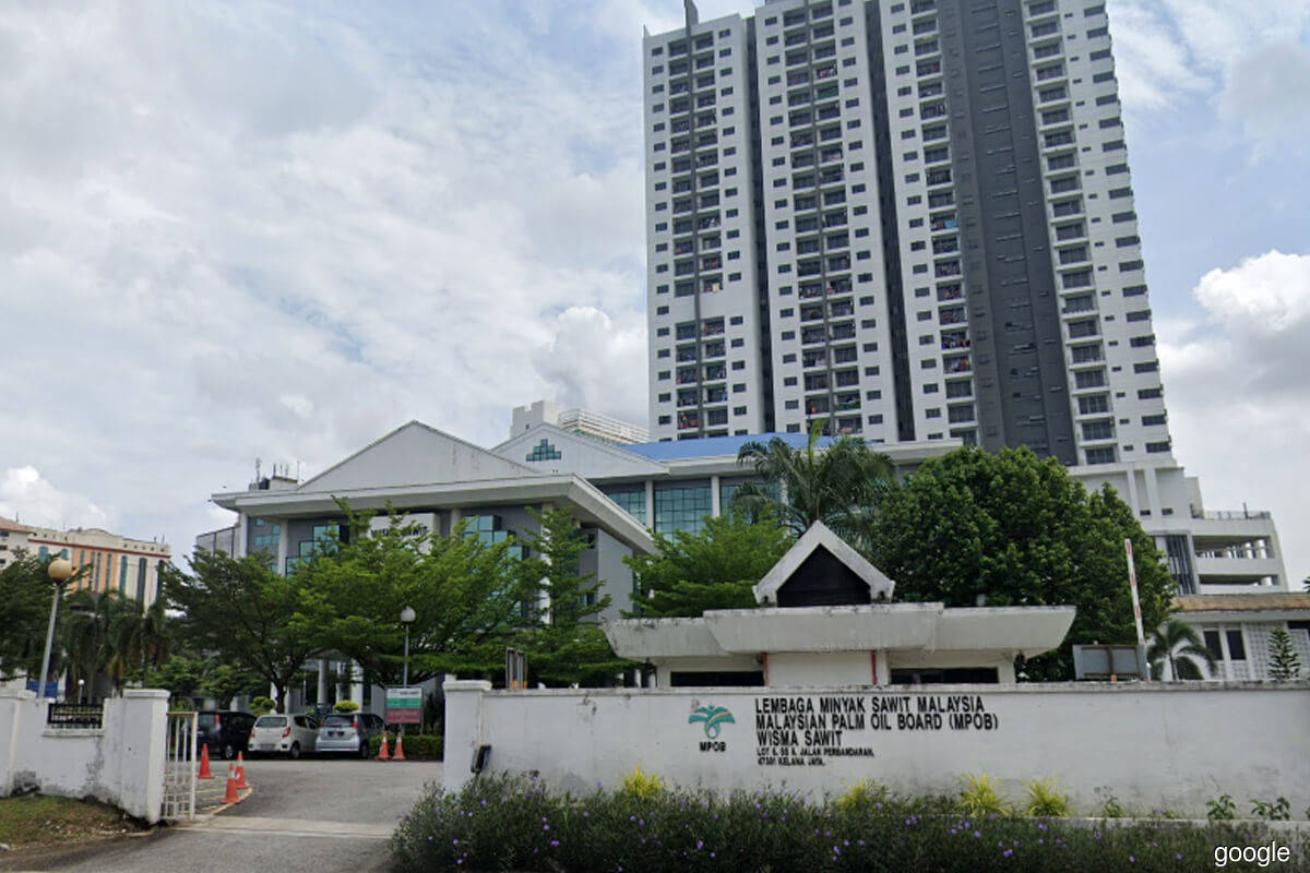 CPO expected to average at RM5,100 a tonne in 2022, seen at RM3,800 a tonne in 2023, says MPOB