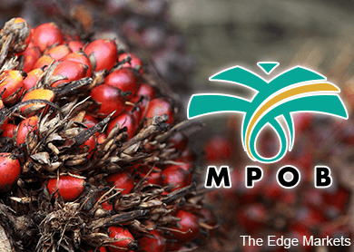 Malaysia's June palm oil inventory down on lower output, higher exports