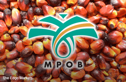 Malaysian 2017 palm oil output forecast to rise 12% y/y -MPOB