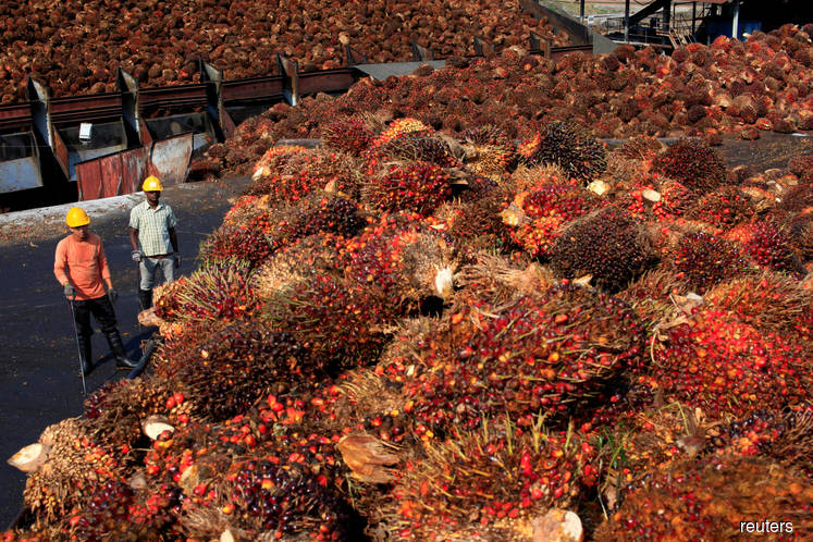 Palm oil group urges Malaysia to shun trade with France, Norway