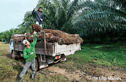 Cover Story: Will the new policy work?