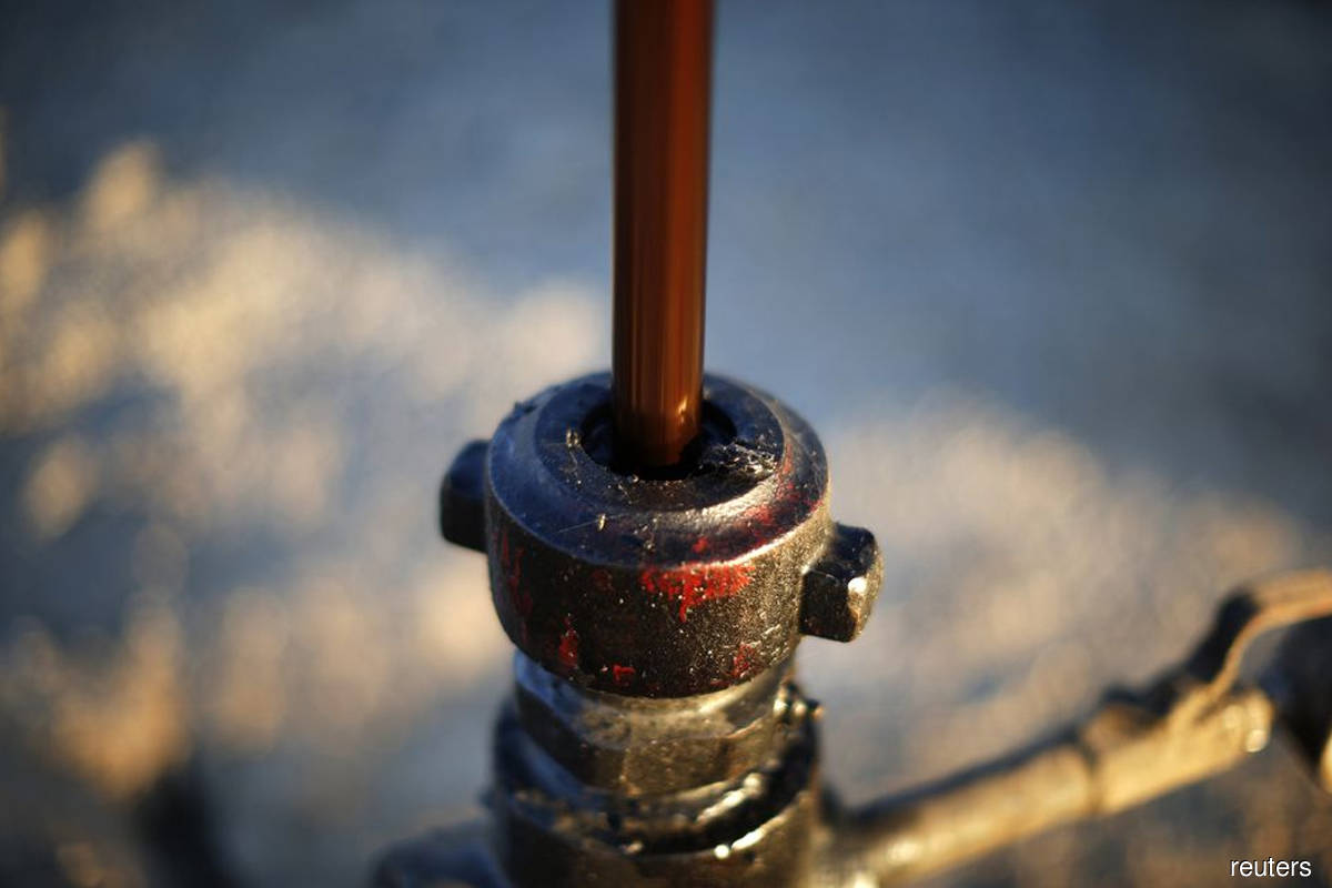 Brent falls to two-week low after inventory shock