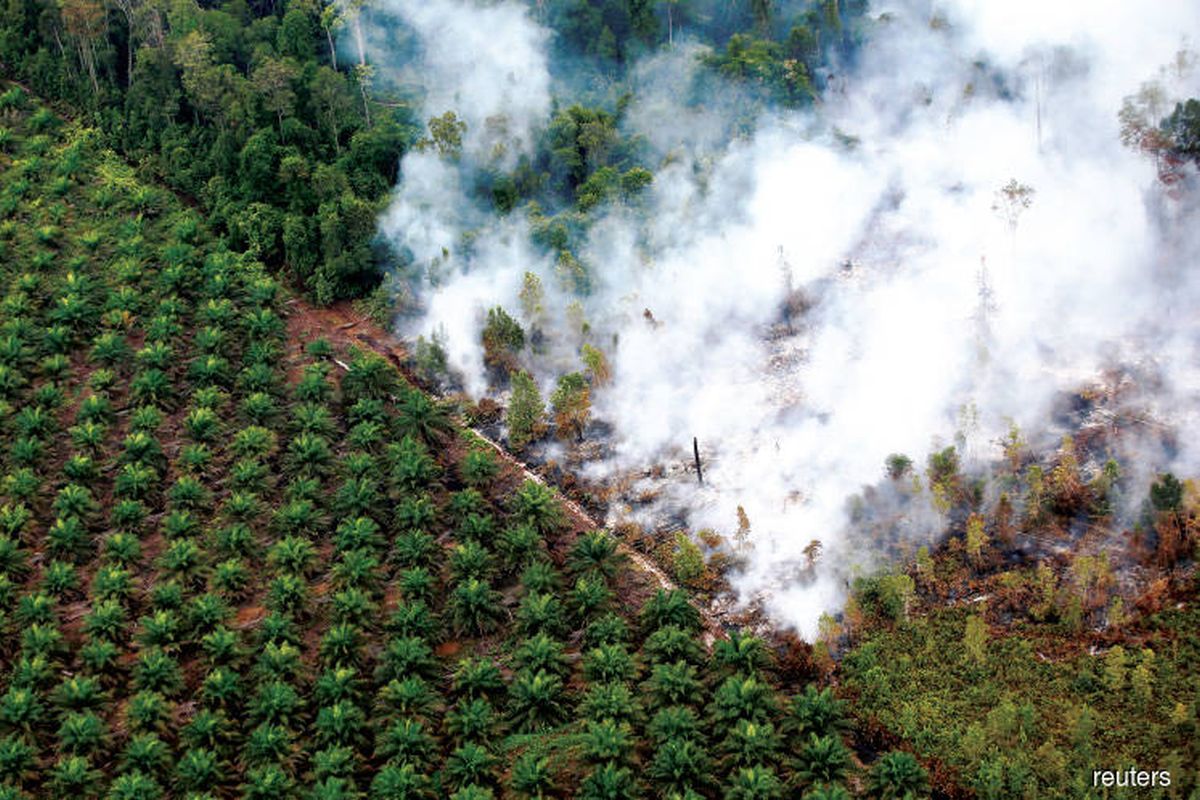 Open Burning Prohibited In Selangor Pahang And Johor The Edge Markets