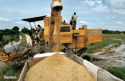 Has Halex ended rice import monopoly?