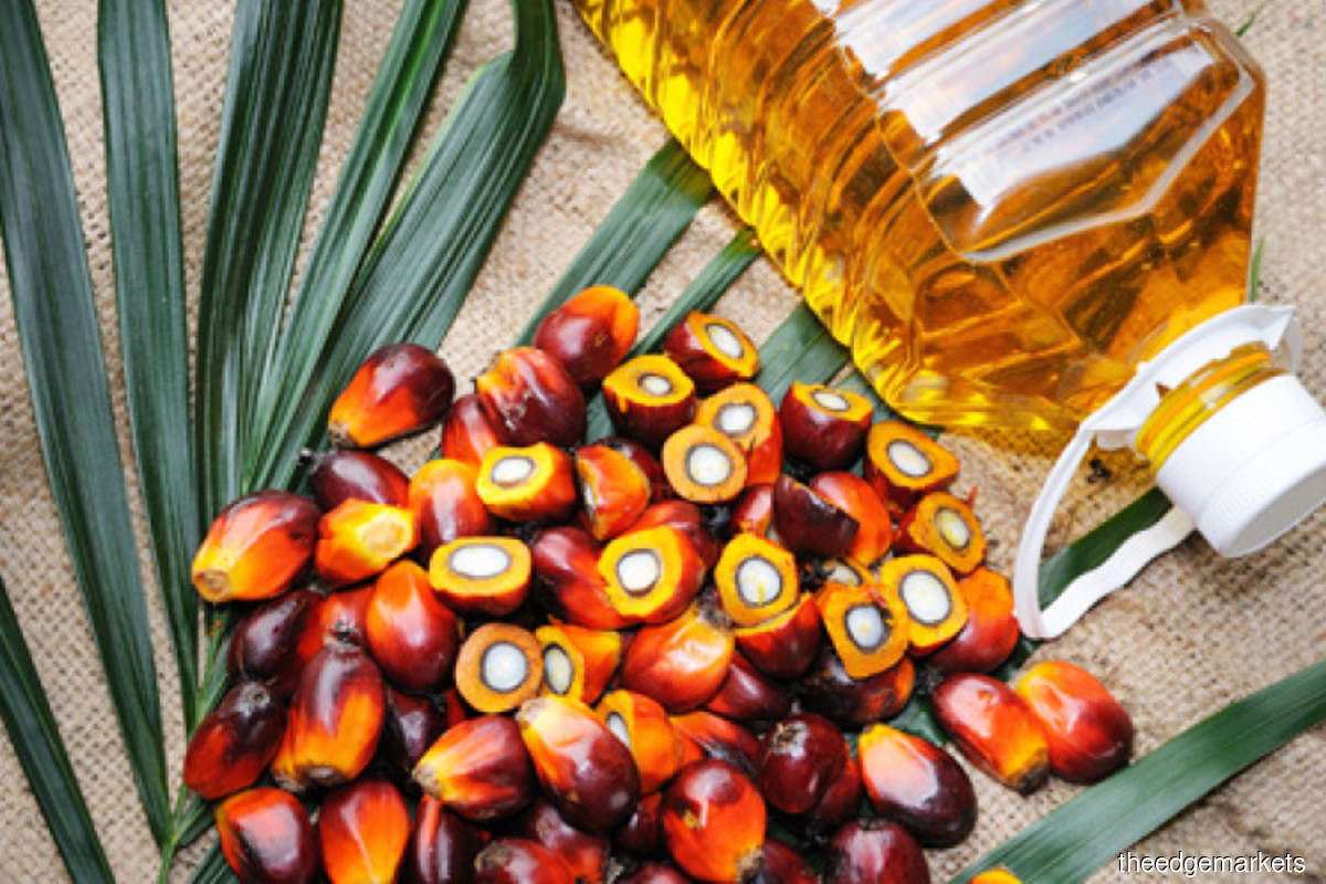 Threshold value of windfall profit levy for palm oil raised to RM3,000 in peninsula