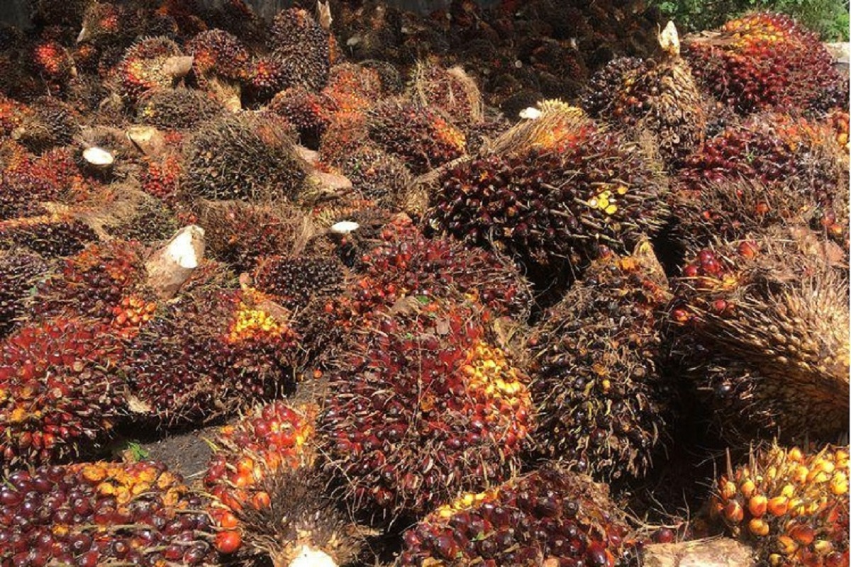 Malaysia's April palm oil stocks seen lower as exports jump