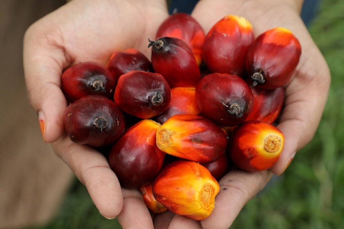 Palm oil’s stunning rally likely dampened demand from top buyer