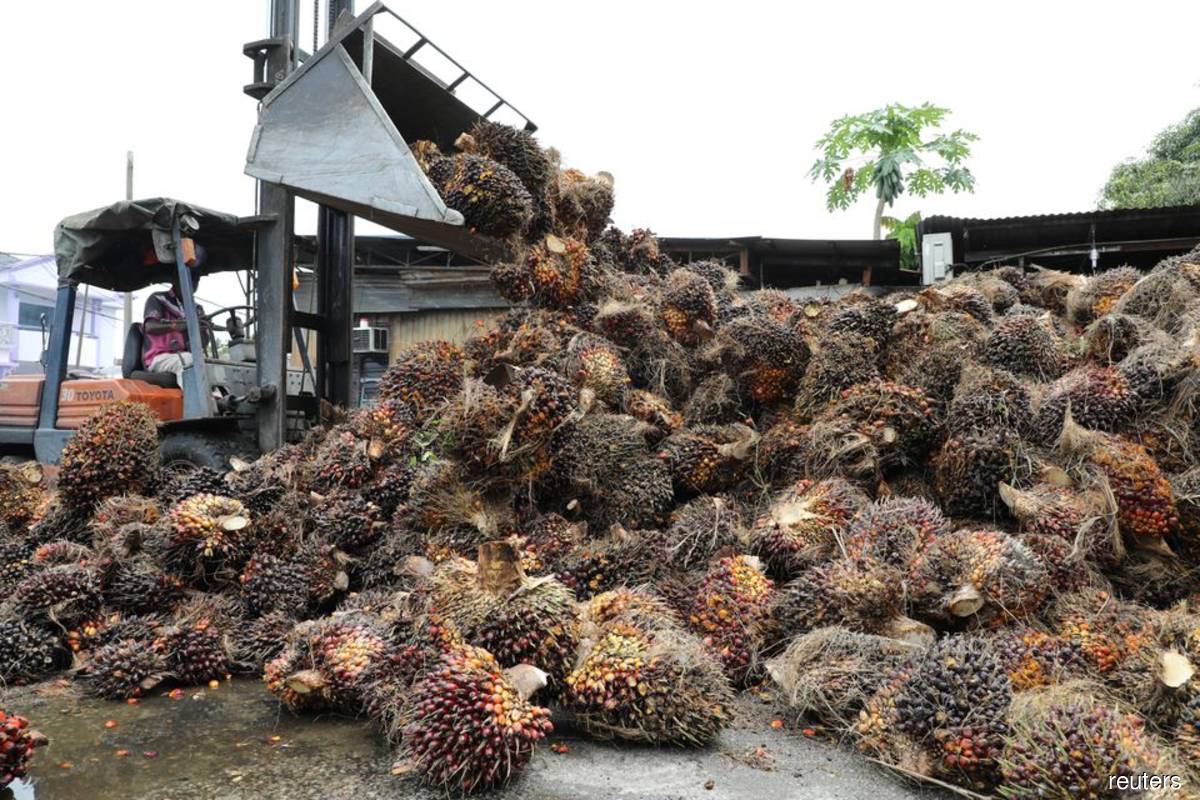 Malaysia urges palm oil mills to resume production despite price drop