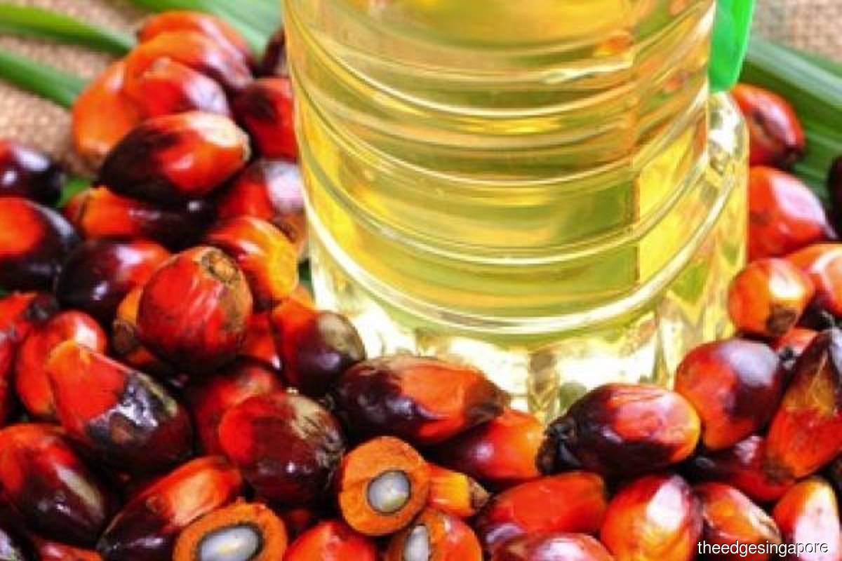 who-gets-to-define-sustainable-palm-oil-cspo