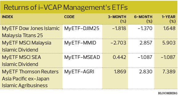 does meta etf pay dividends