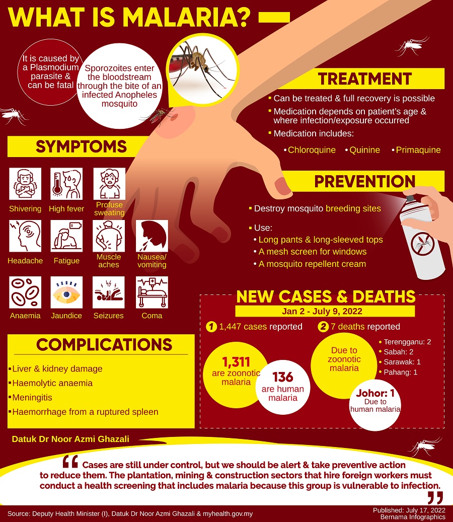 MOH: Seven malaria infection deaths detected thus far | KLSE Screener