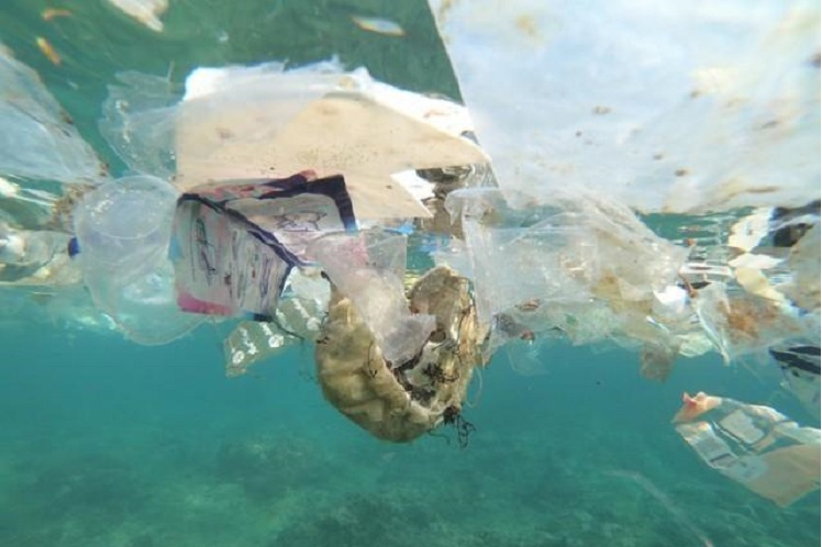 Certifying products that help keep plastic waste out of oceans