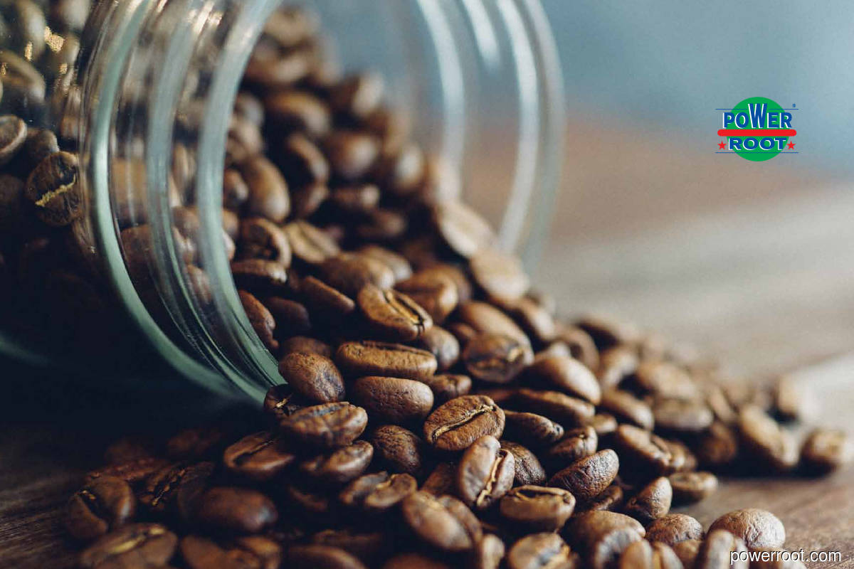 Power Root Temporary Shuts Johor Factory Following Covid 19 Cases The Edge Markets