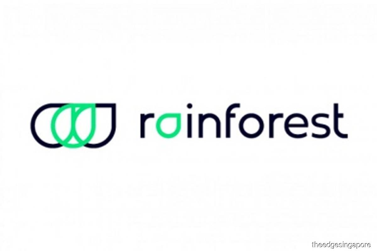 Former Carousell, Airbnb, Fave execs launch e-commerce aggregator Rainforest with US$36 mil seed round