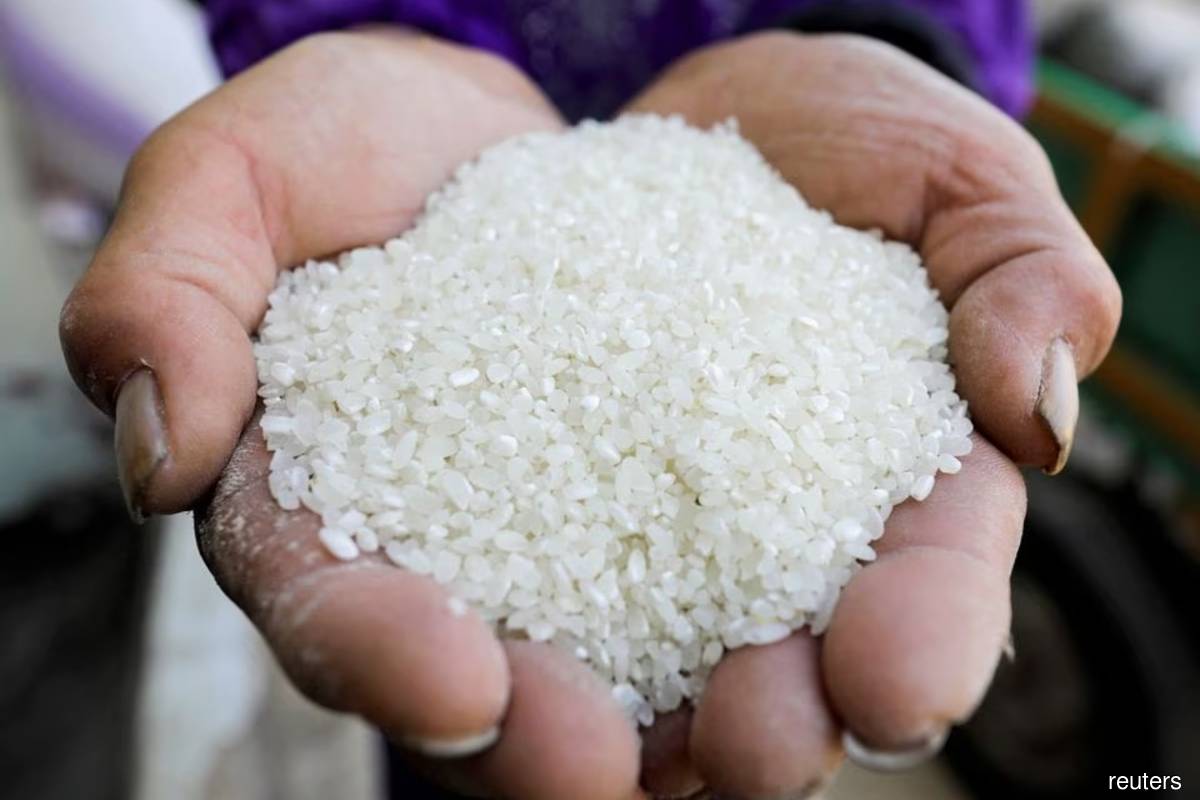 Soaring rice price shows food inflation still stalking the world