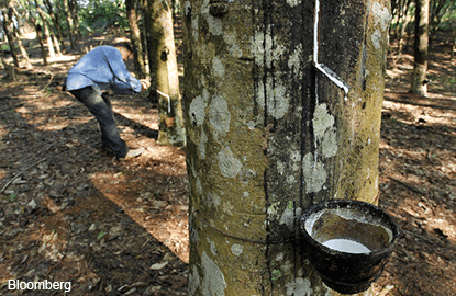 Global rubber output set to rise to 12.9 million tonnes in 2017 — IRSG