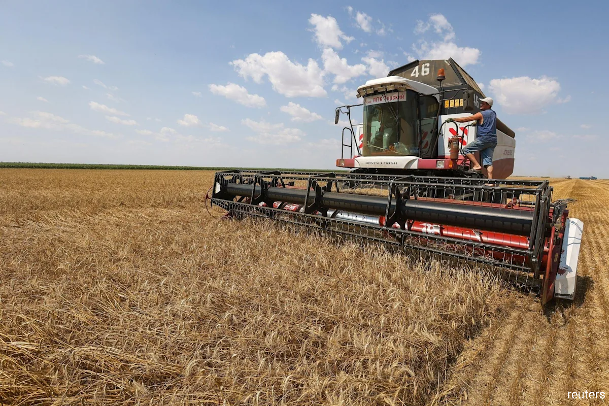 Wheat climbs 5.5% as Russia withdraws from Black Sea export agreement