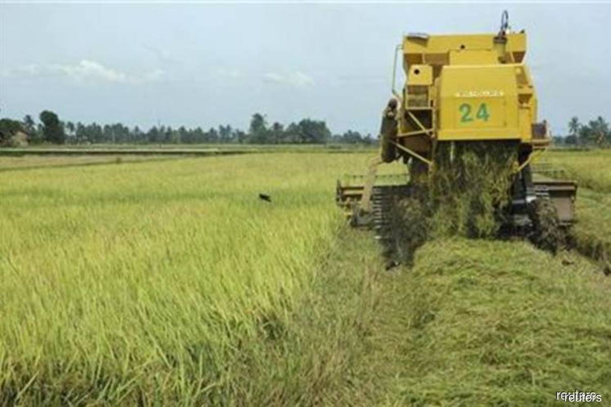 Over RM1.53 bil spent to help paddy farmers