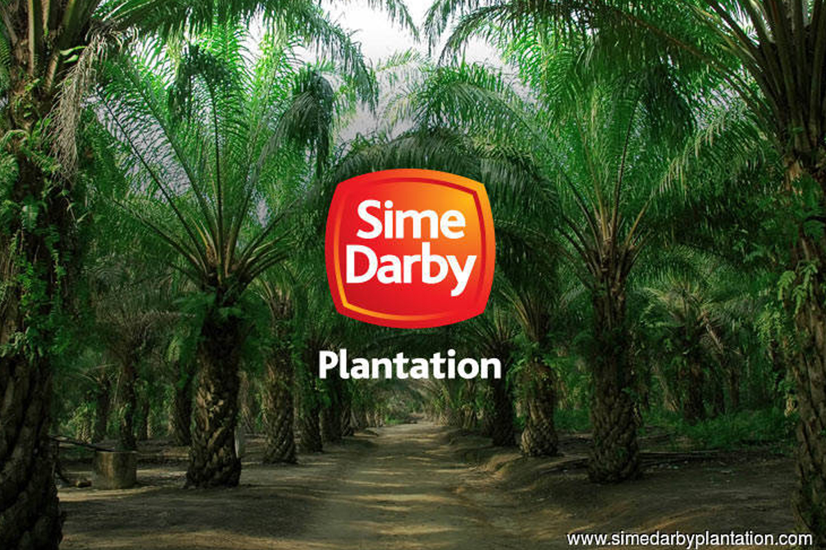 Darby plantation sime U.S. says