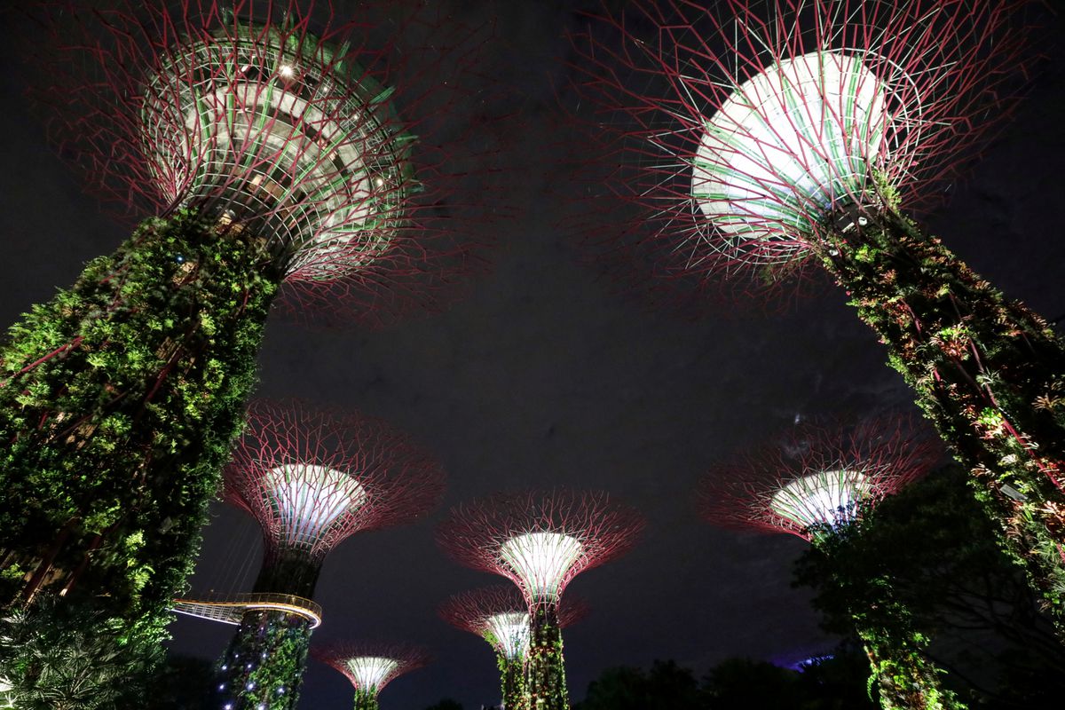 Global power cost surge wrecks Singapore's electricity market