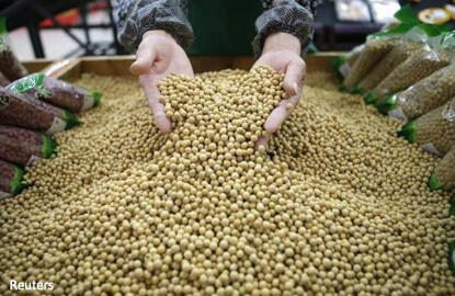 Soybeans fall nearly 1 percent ahead of USDA report