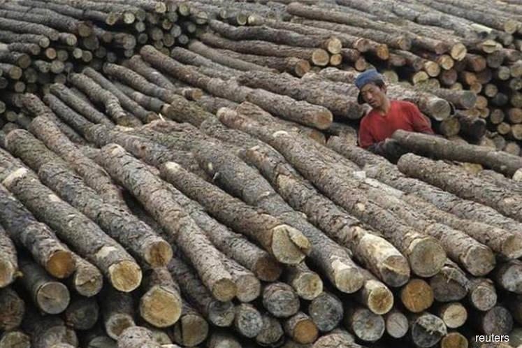 Timber-based manufacturers can expect higher returns this year, says Mah