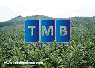 Privatisation Deal A Fair Exit Option For Tanah Makmur Shareholders The Edge Markets