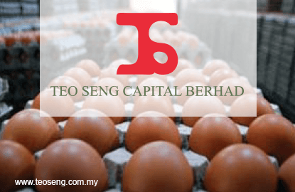 Teo Seng Rises 3 3 On The Back Of Rebound In Egg Prices The Edge Markets