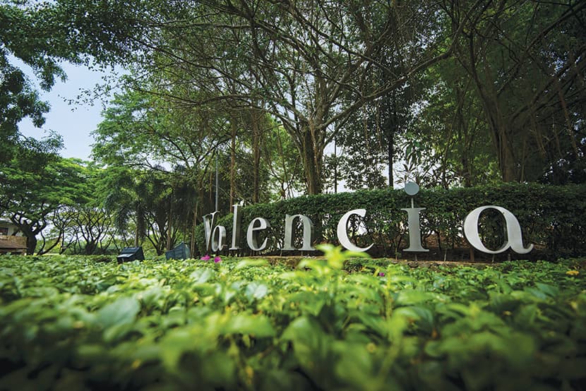 Property Division Benefitting From The Valencia Brand The Edge Markets