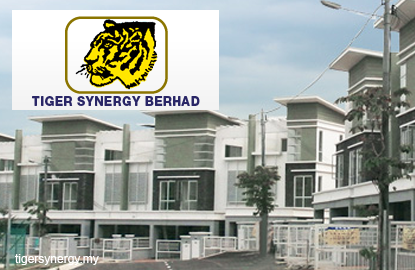 Tiger Synergy Aborts Rm42m Rights Issue Exercise The Edge Markets