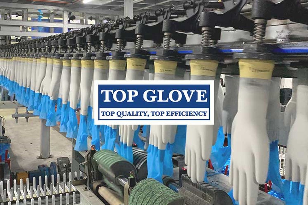 Top glove shares