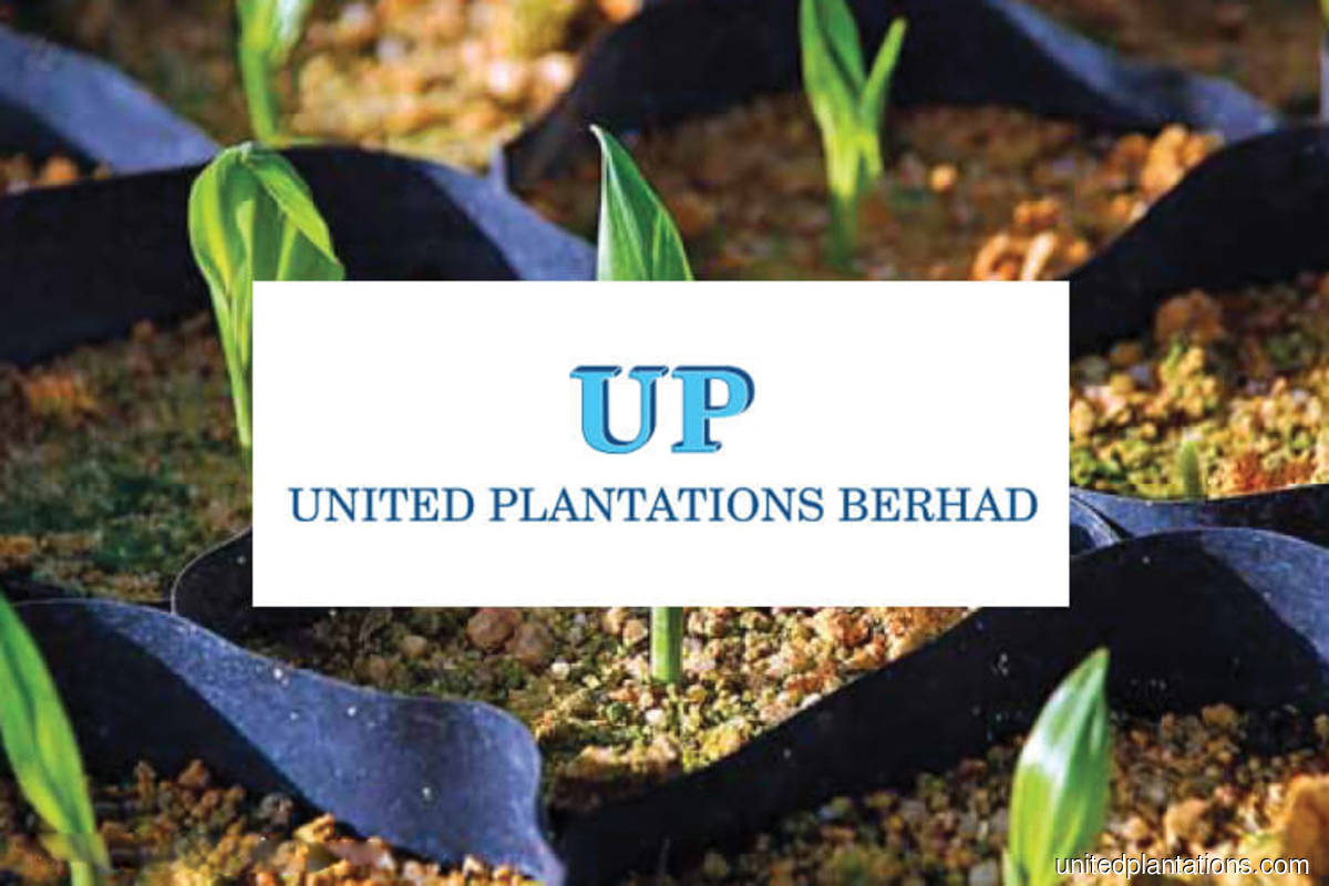 United Plantations among Bursa's top gainers after posting record profit