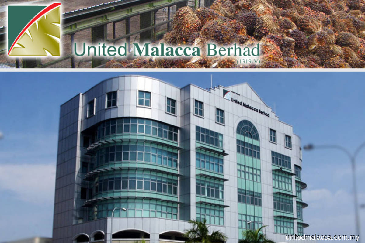 United Malacca's 4Q profit drops 38% quarter-on-quarter to RM18.8 mil, declares 10 sen dividend