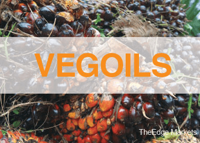 vegoil_thedgemarkets
