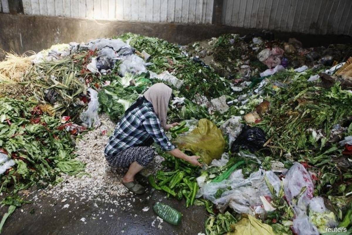 malaysian-households-lose-rm210-per-month-in-food-waste-disposal-costs