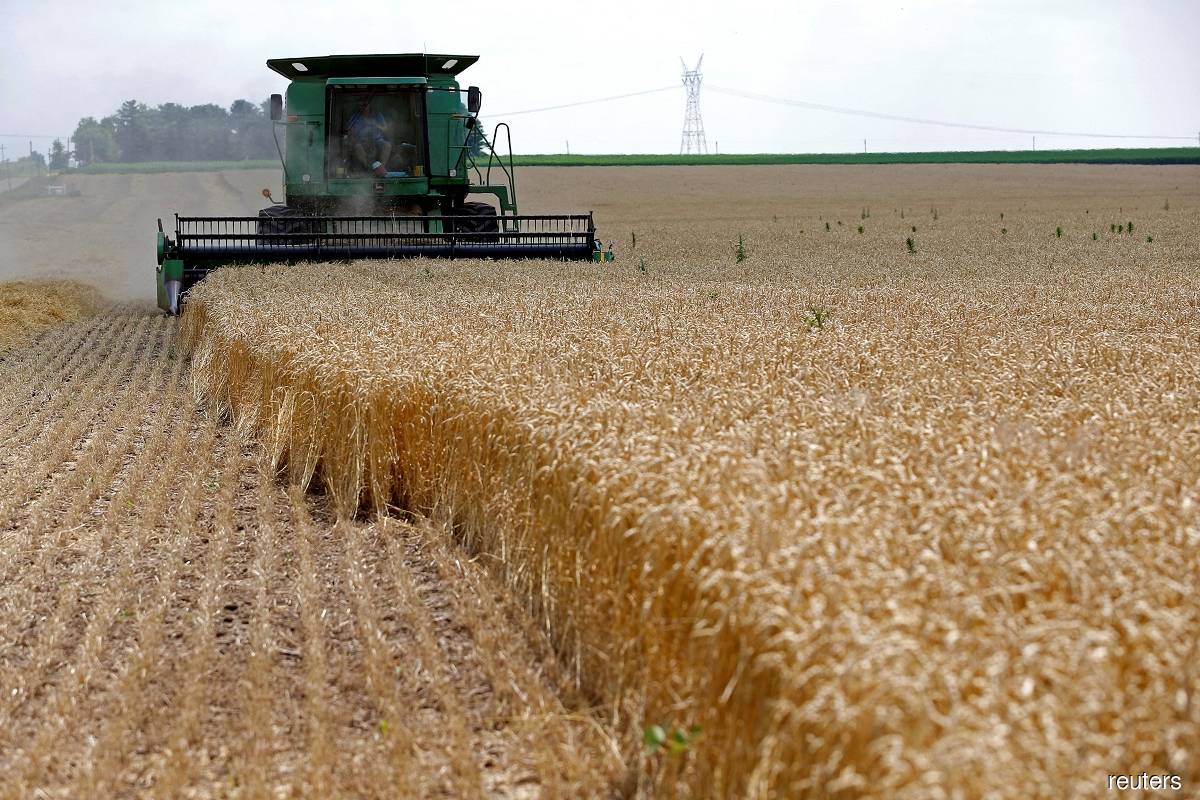 World food prices post biggest decline since 2008 in July